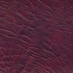 Вишня (Боди) Вишня (Боди)