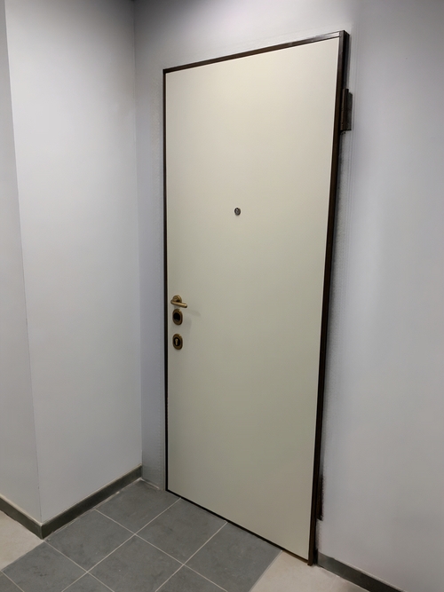 Дверь с гладкими панелями Дверь с гладкими панелями