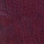 Вишня Вишня