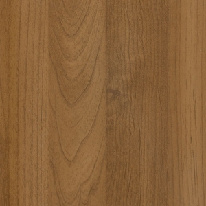 Ольха Планка