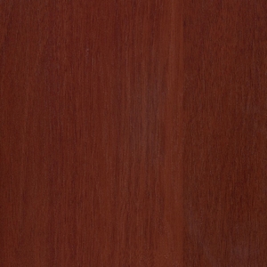 Орех Мария Луиза